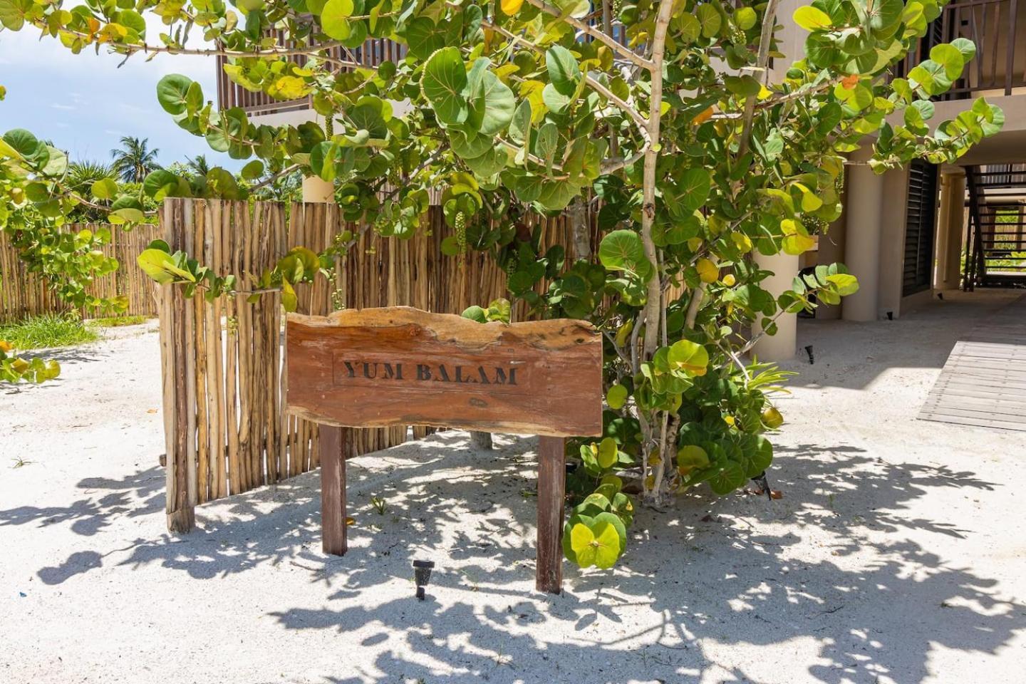Hotel Ocean View Loft In Punta Cocos - C102 Isla Holbox Exteriér fotografie